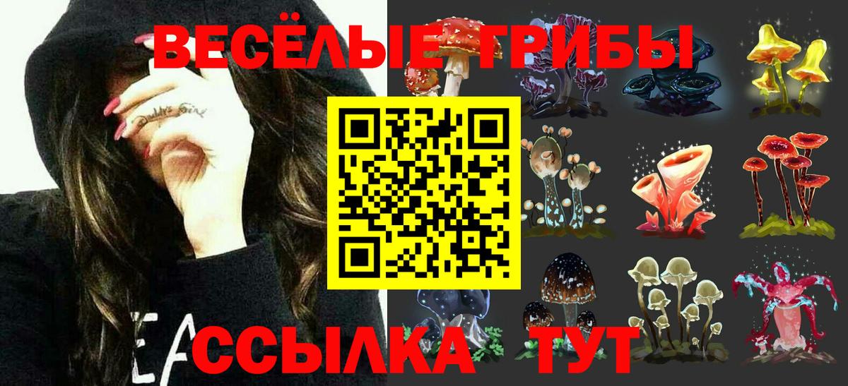 Псилоцибиновые грибы MAGIC MUSHROOMS Барабинск