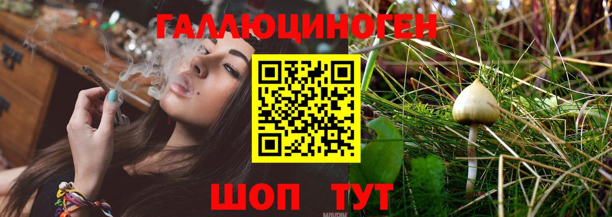 Барабинск  Псилоцибиновые грибы MAGIC MUSHROOMS  Псилоцибиновые грибы мицелий  Вход с VPN 